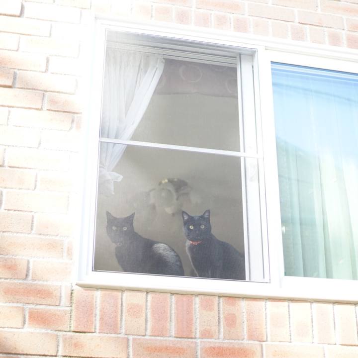 Cf1b30c3 5622 43e8 a4da c2b738a6fe92 1524699663141