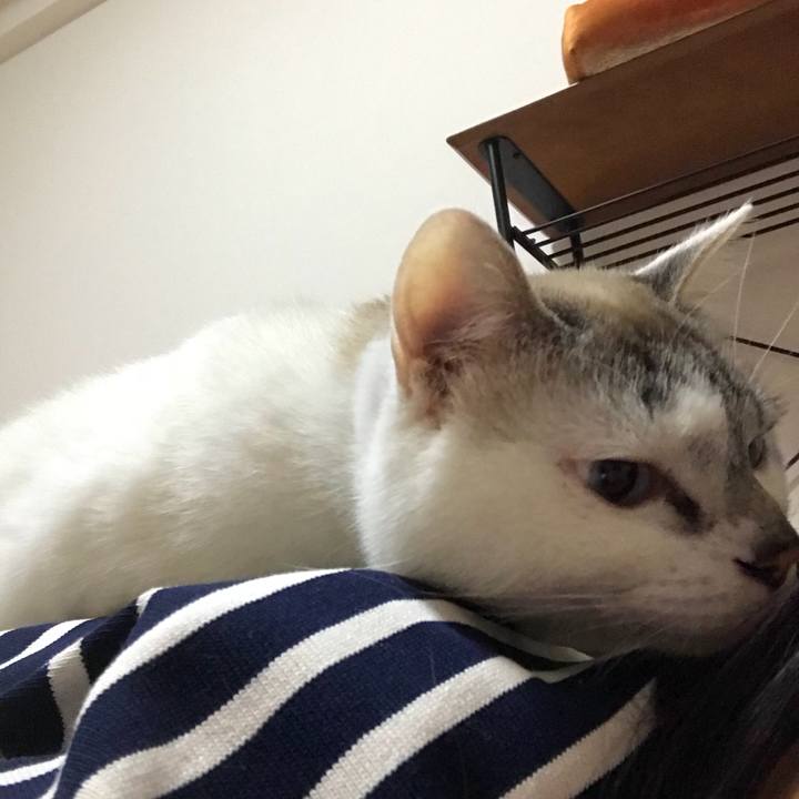 Cf1b4f57 a456 48dc ba66 08355c195935 1523189720963