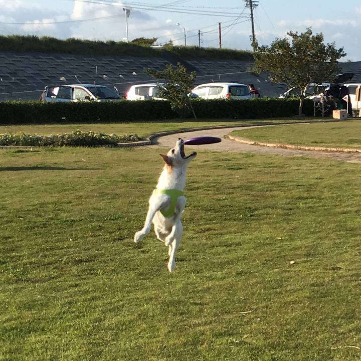 Cf1b5b11 f39d 4d09 acf5 d8873d71666f 1509869560975