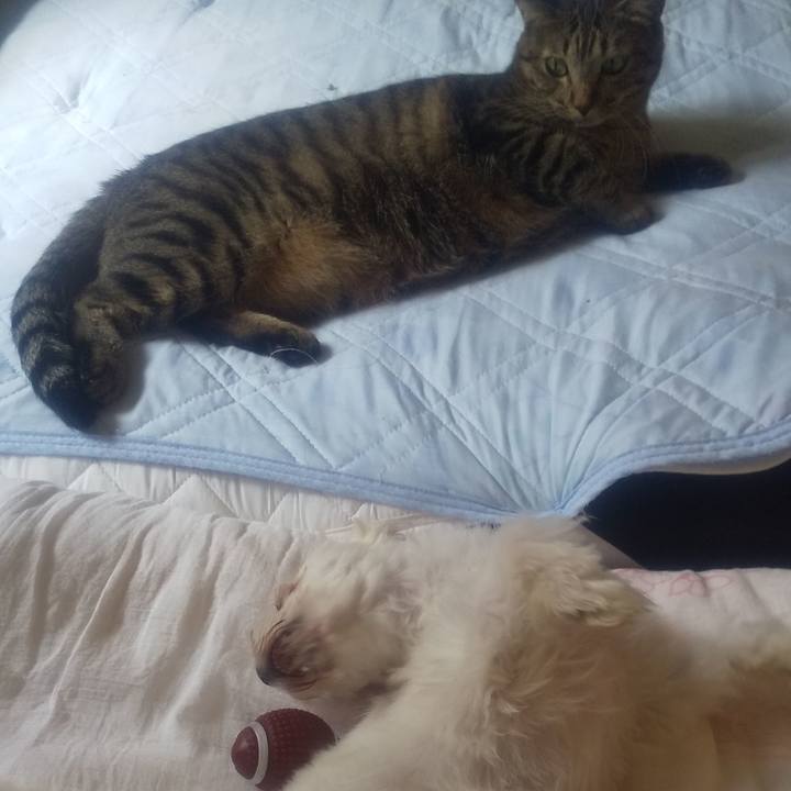 Cf1b8b00 b5a1 46df a056 73e196df6b1e 1691297653098