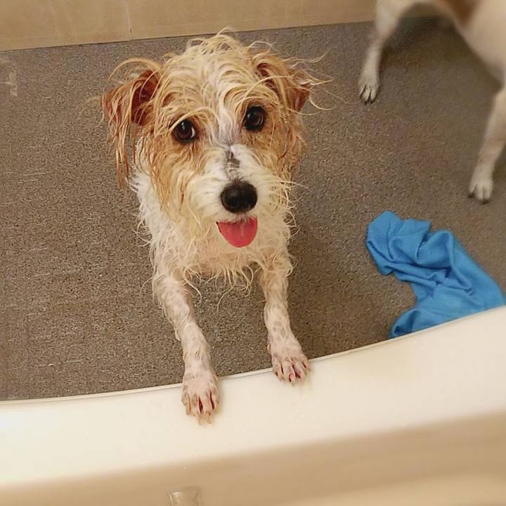 Cf1bbe4b 3a87 49c2 a11e 4536d021bb0b 1578806271632