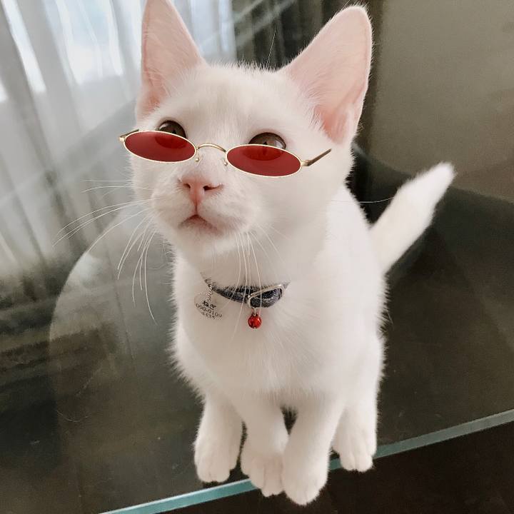 Cf1bd52f a47c 44ae 96a3 2d39aabd39e8 1569902082475