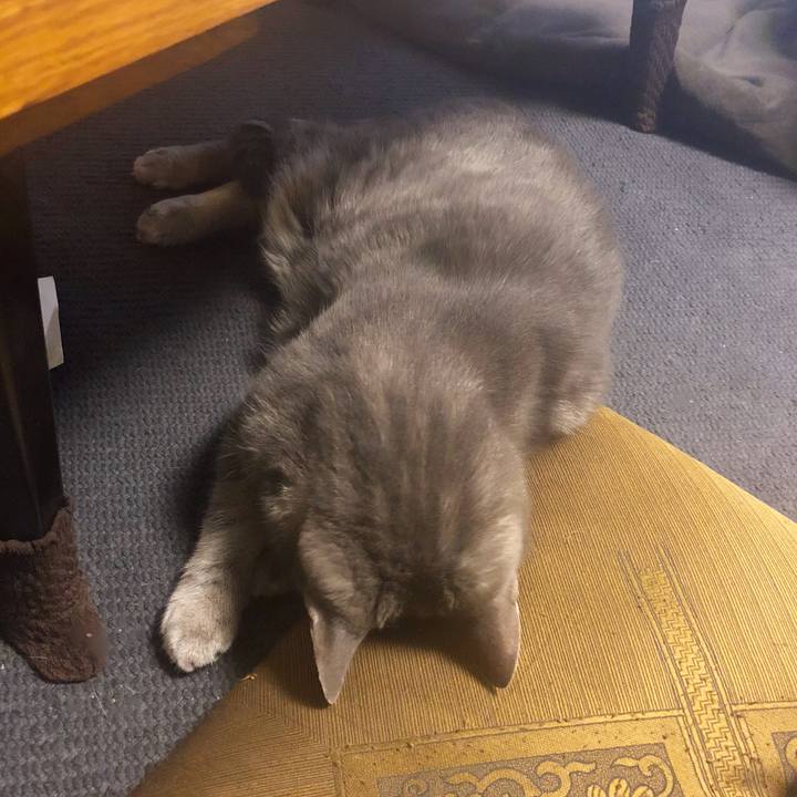 Cf1c0f32 3edd 4689 bdac 71b117a5f56c 1538490773482