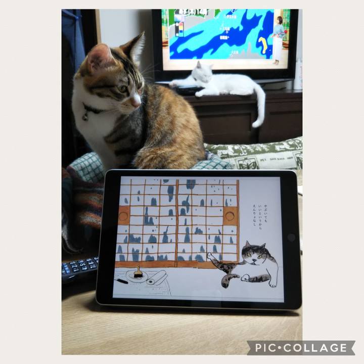 Cf1c2aa5 24b9 47fb be97 66ddc0ca7821 1665568931275