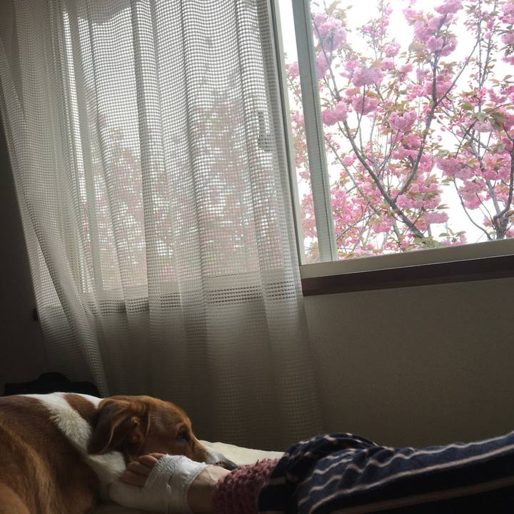 Cf1c3c4c e720 40a4 92eb 526b3090a5d4 1617626346330