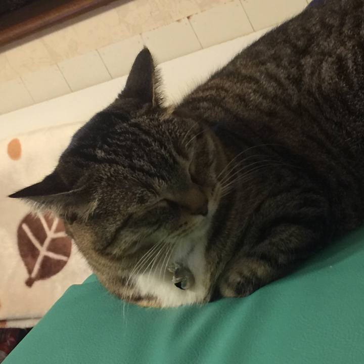 Cf1c50f6 a371 4d08 b842 eaeeeb9c8e12 1557069552951