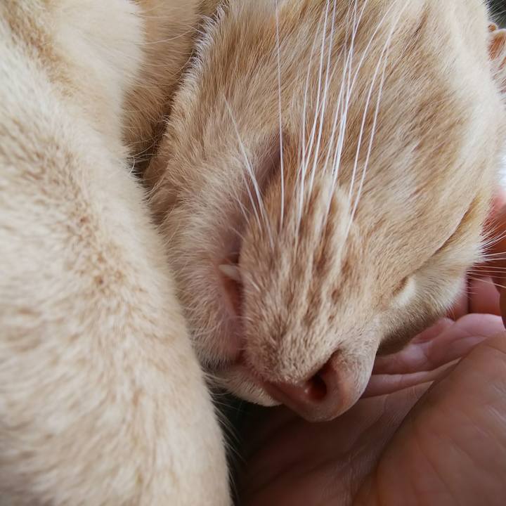 Cf1c5590 5d81 4c88 b6ee 9f4bf567f5aa 1682145179504