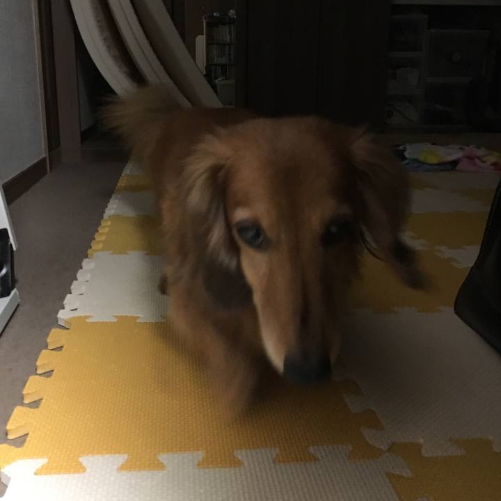 Cf1c8662 9dcc 4a4d 8752 04696593a868 1563631726028