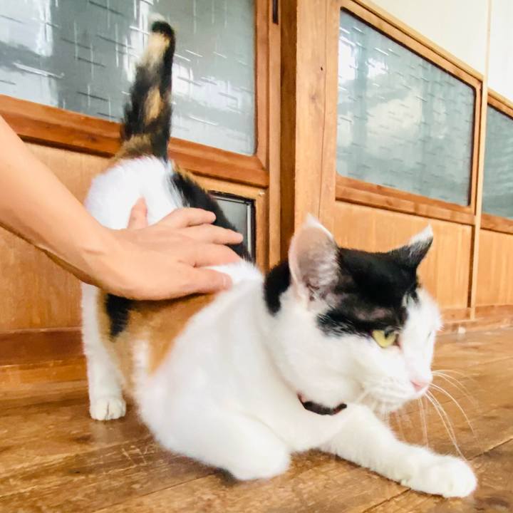 Cf1c88c5 25d6 4b4e bd9e 89d82957a9bc 1692835442225