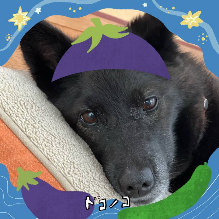 Cf1cc447 7e52 480b a0ed 57acf9981197 1755131054363