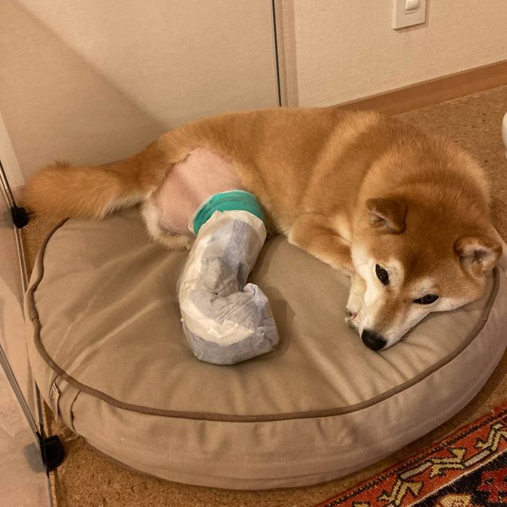 Cf1ce595 1b9a 44d1 bb42 7218bb3faccd 1716072000616