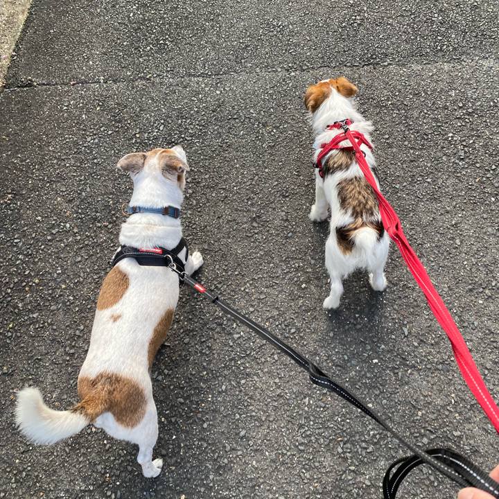 Cf1d5921 4863 4b99 9873 109eee44c079 1627425096607