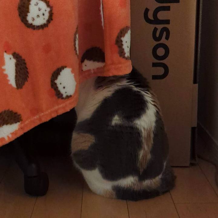 Cf1d6ca2 2804 4631 867f 3bacd16eea81 1709869348277