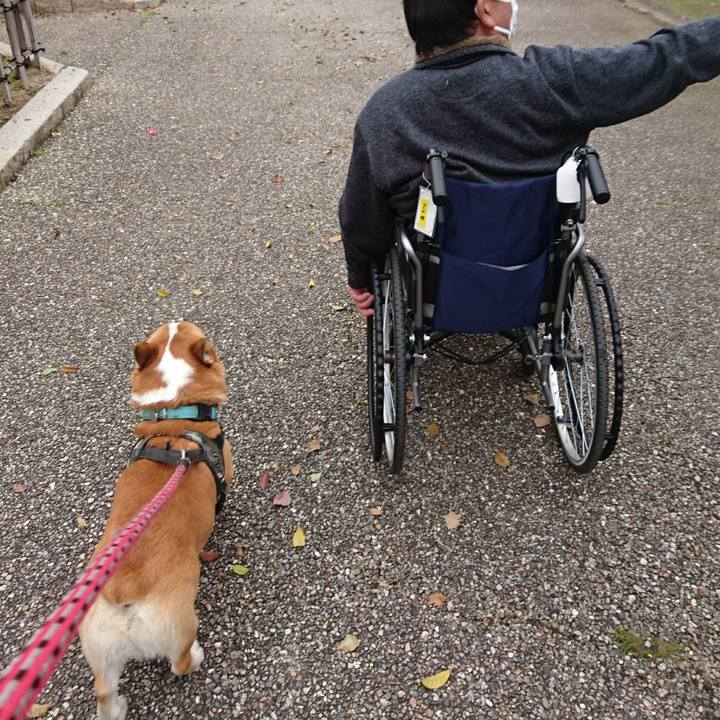 Cf1d7a84 e659 4a1d 8ad0 787d6321e1b3 1648522288466