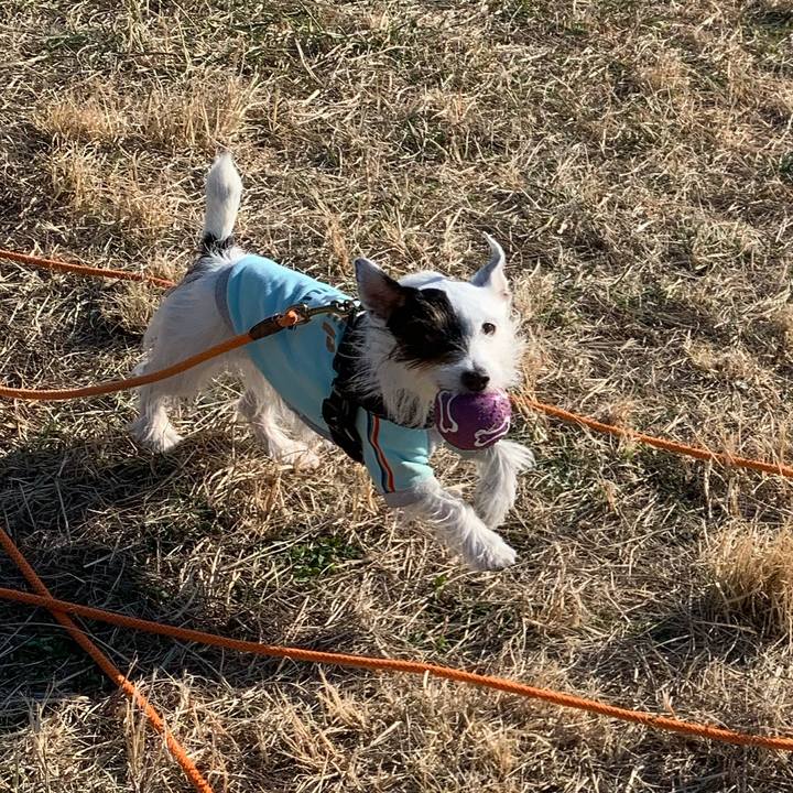 Cf1da74d 030c 45f8 acd7 b0deafc6c8f9 1672190847839