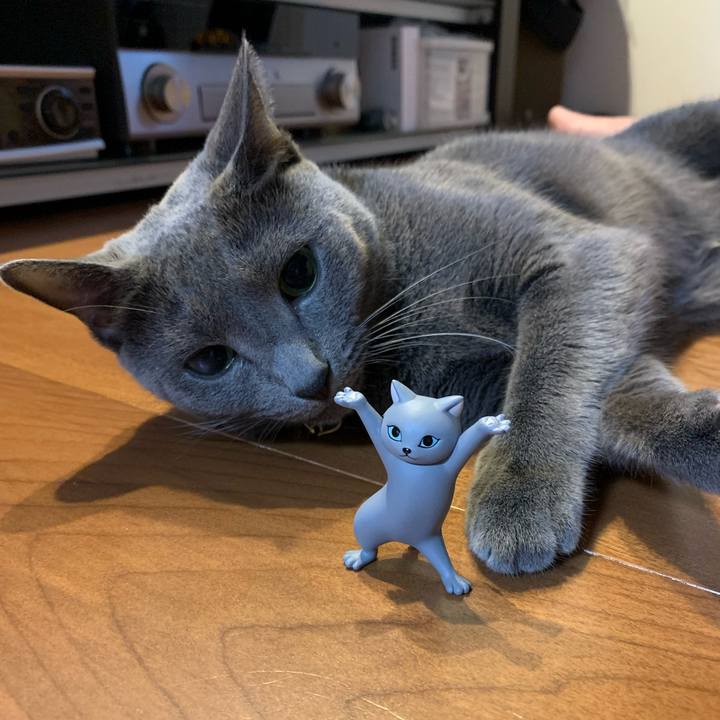 Cf1dcd31 9aa1 48d4 8bea b0f048c01ced 1626173618452