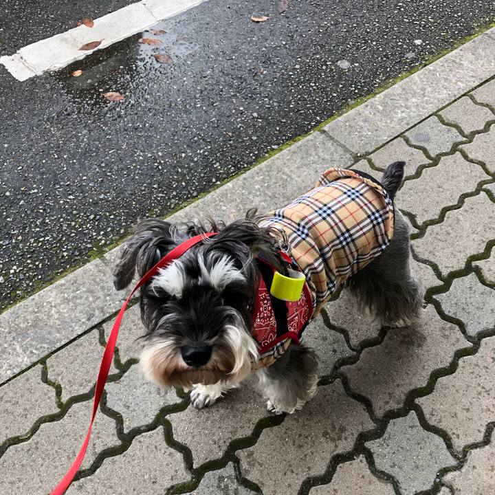 Cf1dcef2 521a 41f3 a1bc 8ff04c79c655 1575779454339