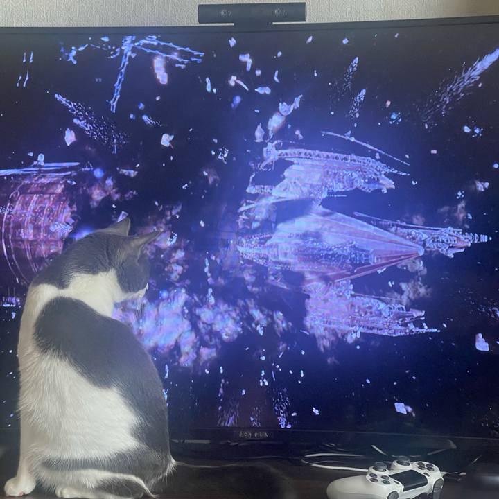 Cf1e03ff 4907 4055 a027 d281a1fa7d28 1633412236251