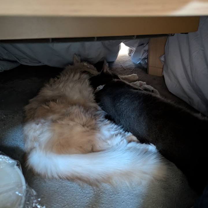 Cf1e15dd 64a0 416c a168 623f60f2465f 1763620041909