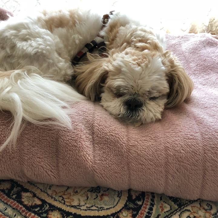 Cf1e2265 ae0a 4bb9 b307 0fb2d1c75b6c 1523164232439