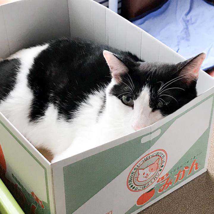 Cf1e5e7e 6e53 4715 88c3 ec6c11527be7 1530712294695