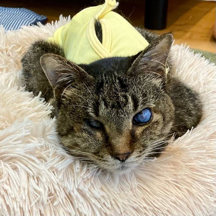 Cf1e69d1 989d 42ac 9543 63aeee16e911 1685057073732