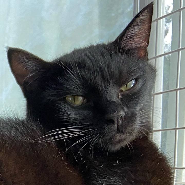 Cf1e759b c10a 47ea b7c9 5045d4a1e16e 1632915268047