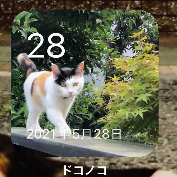 Cf1e85e2 81a2 41bc b3f0 346e7d379af4 1653736275558