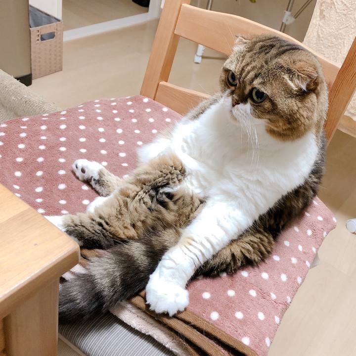 Cf1e8e82 4a36 4ecf aca2 32904d75be98 1571232774135