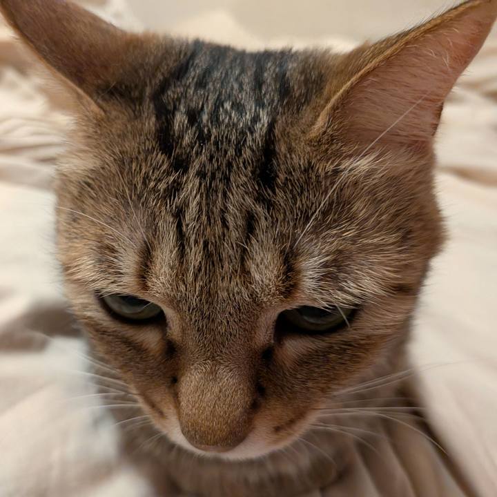 Cf1e97fc c90f 42e1 be6e 28958aabc8ff 1774996123363