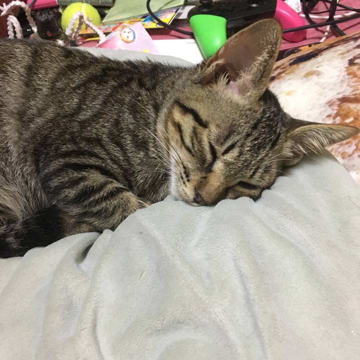 Cf1eafd5 bdef 48be 9a70 6ae73126289f 1537799850596