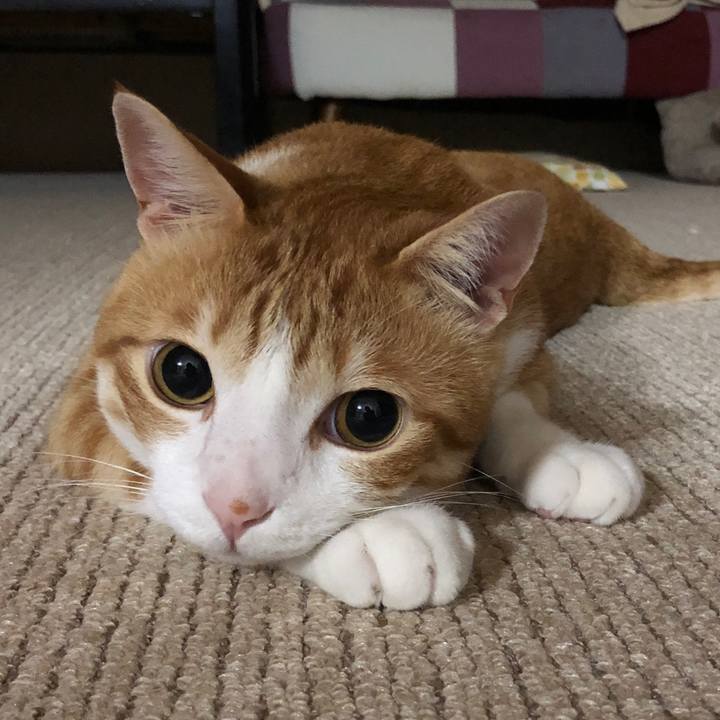 Cf1ebbba 0455 47f0 8ede a00e1e8f03a9 1565351194464