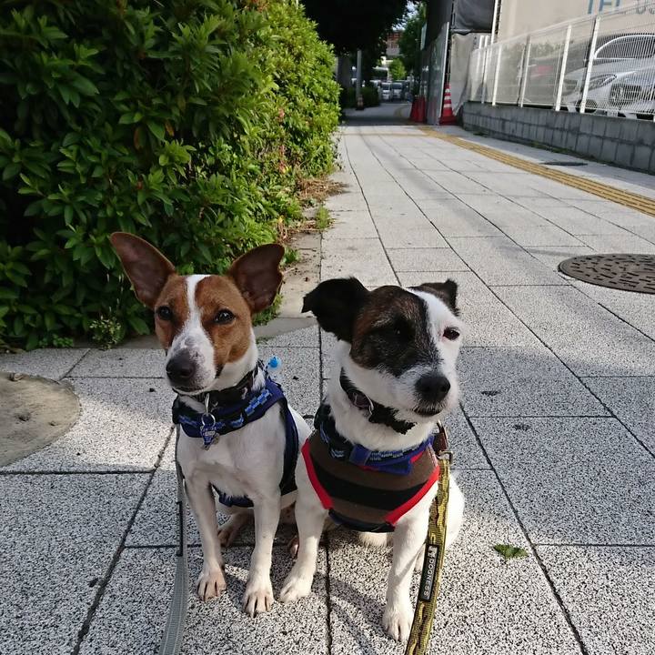 Cf1ebeaa 0c46 4ec5 a501 abd85c29bf6f 1526853609308