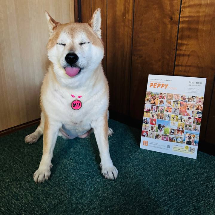 Cf1ed0af 5ccc 4286 ba9d 131f9d7fa053 1727165459277