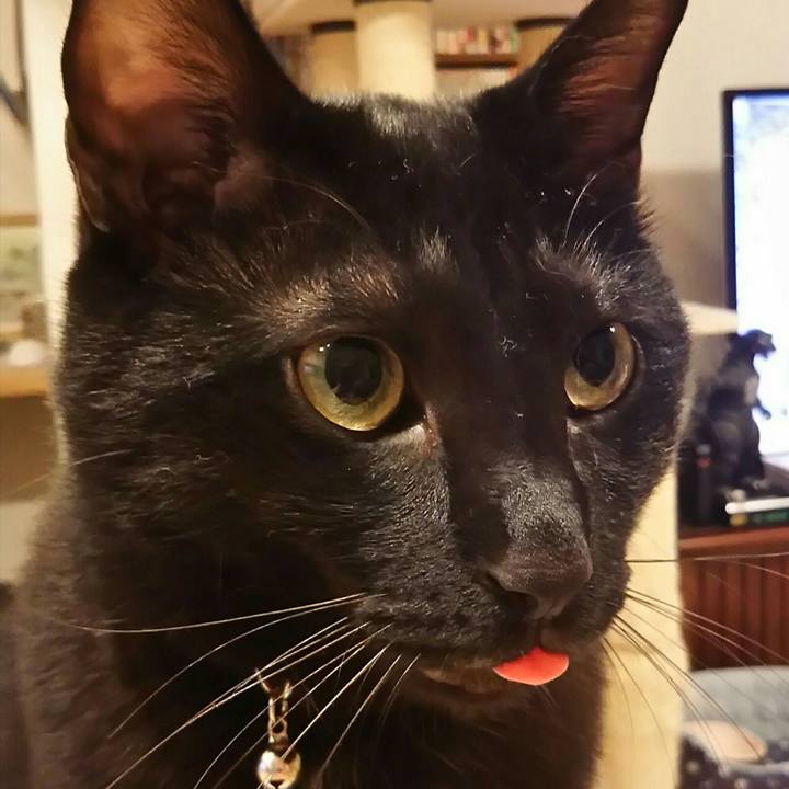 Cf1ed144 605e 40a1 a809 1f401e02e551 1516114653839