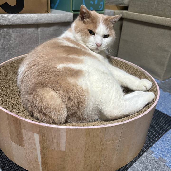 Cf1f03c5 787c 4a47 9879 d40a34061470 1766964610374