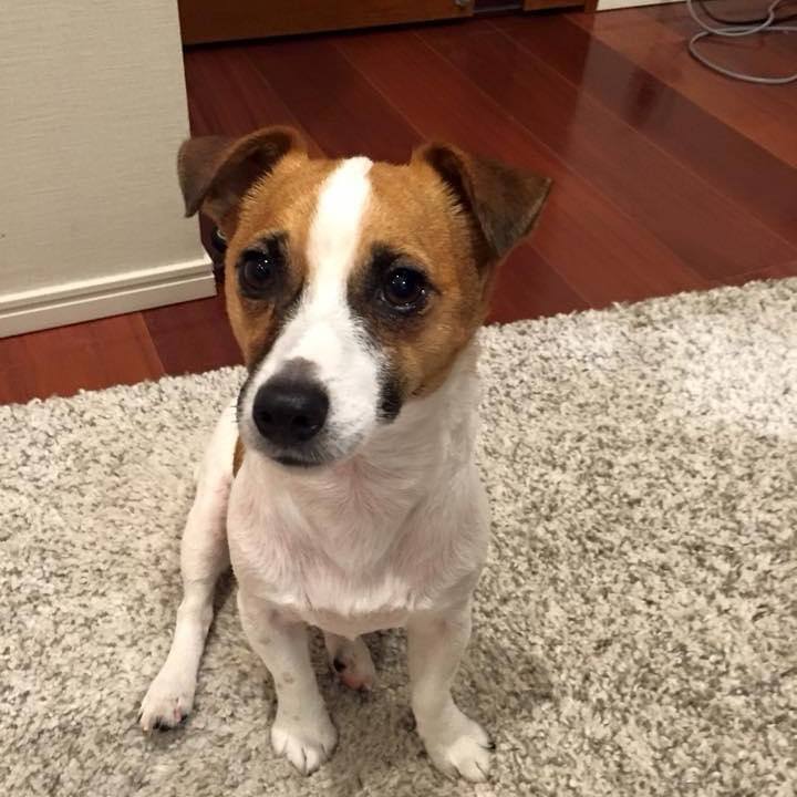 Cf1f53a3 8c6f 43e6 bfaa 50ef784e737c 1709862208971