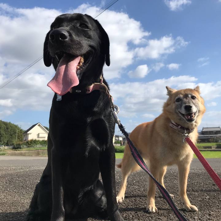 Cf1f8ec7 6bb1 4f7a bcc4 4a7781cb919c 1571128948417