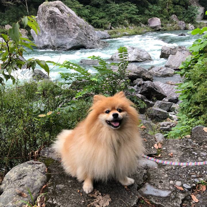 Cf1f9199 0cdb 44fc a7a5 9512de4dd6ed 1568454242660