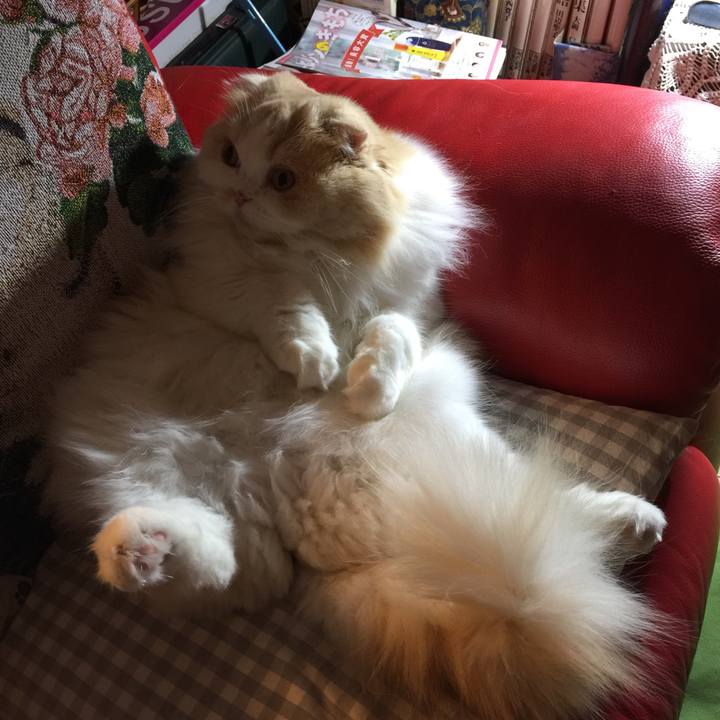 Cf1fa161 2b80 4715 bb25 e111ec6afda7 1515503430683