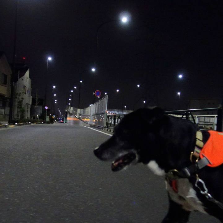 Cf1fa682 e82d 40cb 881c 6e7bbe7c16d7 1739702688919