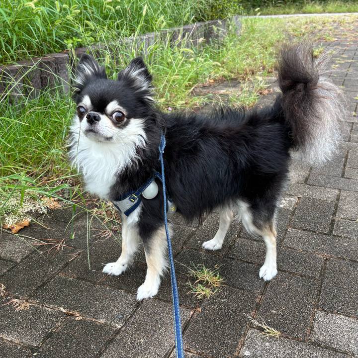 Cf1fb23d 9b31 49d7 97ba e86dc60cb59d 1758387266420