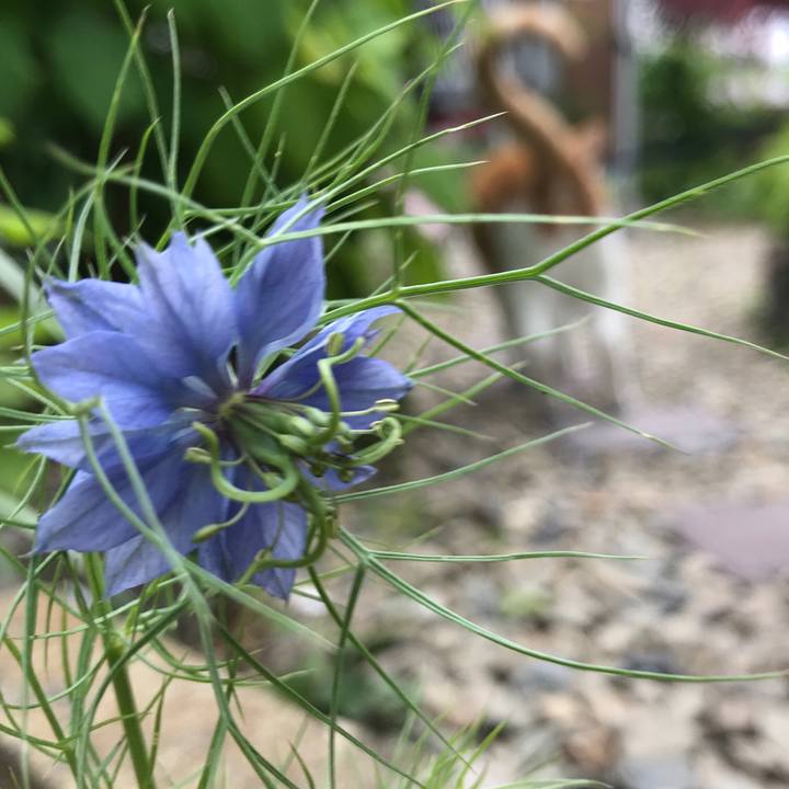 Cf1fb2fe 2c0b 4c14 be9f 86471792910a 1528189600968