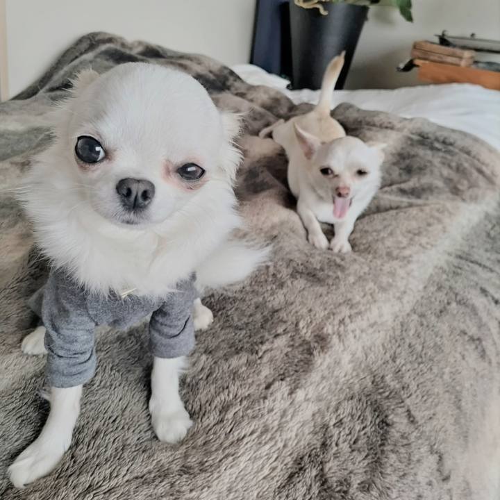 Cf1ff52d c058 4459 be8b 8dbe346dddb0 1747623541406