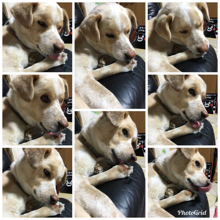 Cf2009f8 b34a 4e2e a7fd 81eb04cd1aae 1525960663774