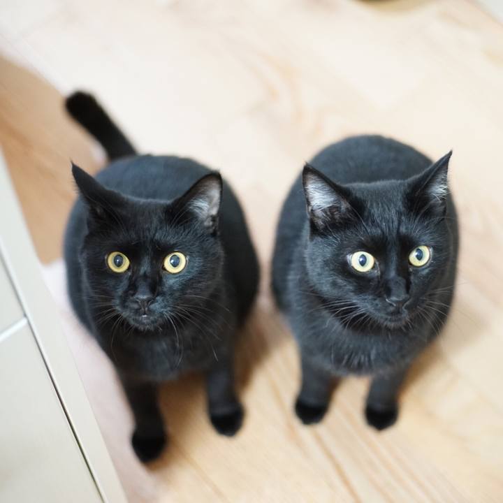 Cf201c16 fad9 47c3 8519 66835542fc41 1530359567432