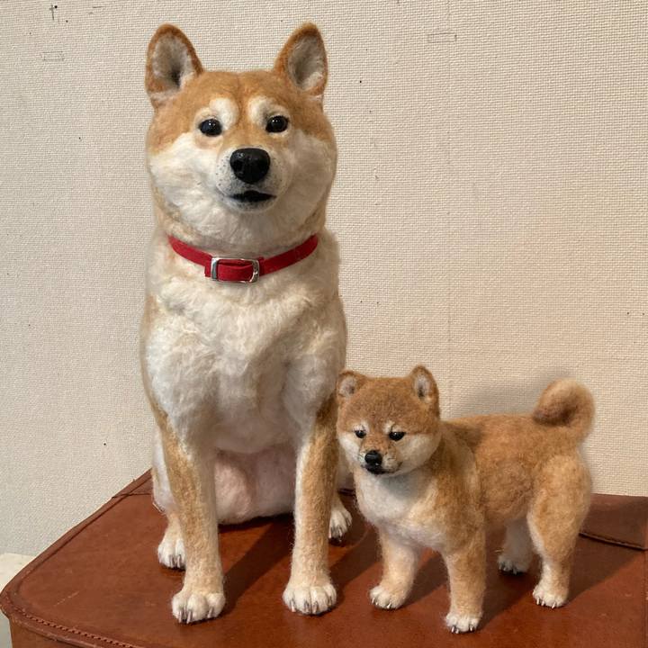 Cf203b66 fe0a 4d4c bd80 b40345e4fd8c 1731222729511