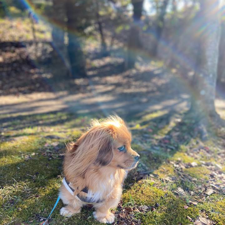 Cf2059cf a293 4d8d bb9c 14aef960294e 1579396401725