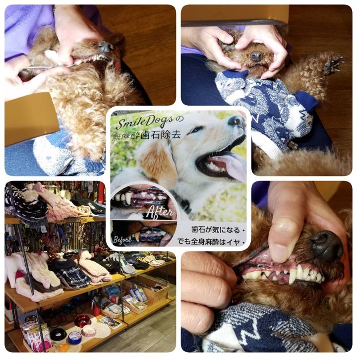 Cf207079 f73f 486a 8ffb ee45f43df132 1549725429599