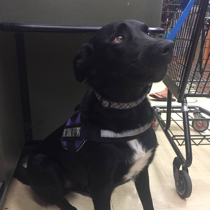 Cf2087da de87 420c a5f6 e7f599994e61 1520932788843